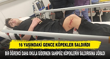 16 Yaşındaki Gence Köpekler Saldırdı