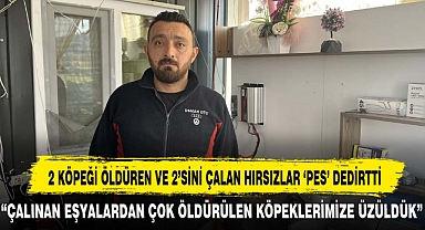 2 KÖPEĞİ ÖLDÜREN VE 2’SİNİ ÇALAN HIRSIZLAR ‘PES’ DEDİRTTİ