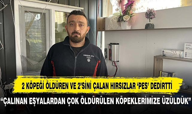 2 KÖPEĞİ ÖLDÜREN VE 2’SİNİ ÇALAN HIRSIZLAR ‘PES’ DEDİRTTİ
