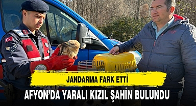 AFYON’DA YARALI KIZIL ŞAHİN BULUNDU