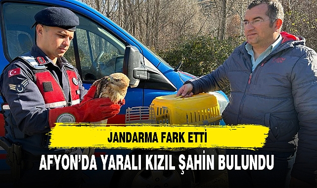 AFYON’DA YARALI KIZIL ŞAHİN BULUNDU