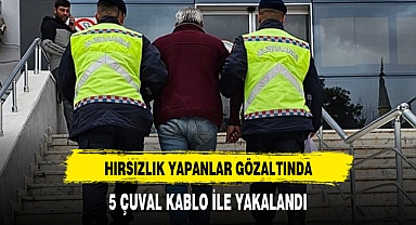 Afyonkarahisar'da hırsızlık yapan şüpheli gözaltına alındı