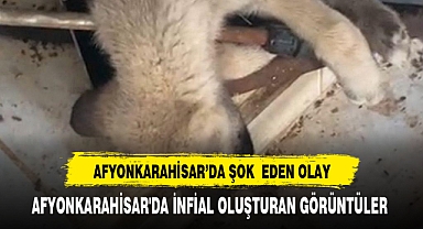 Afyonkarahisar'da infial oluşturan görüntüler