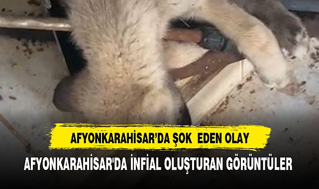 Afyonkarahisar'da infial oluşturan görüntüler