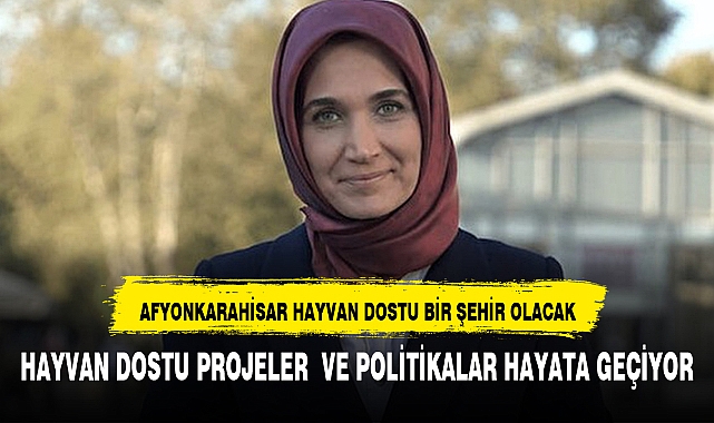 Afyonkarahisar, Sokak Hayvanlarının Refahı İçin Önemli Kararlar Aldı