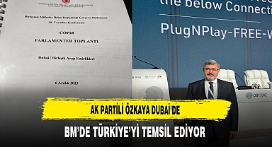 AK Partili Ali Özkaya Dubai'de