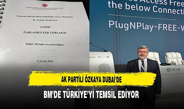AK Partili Ali Özkaya Dubai'de