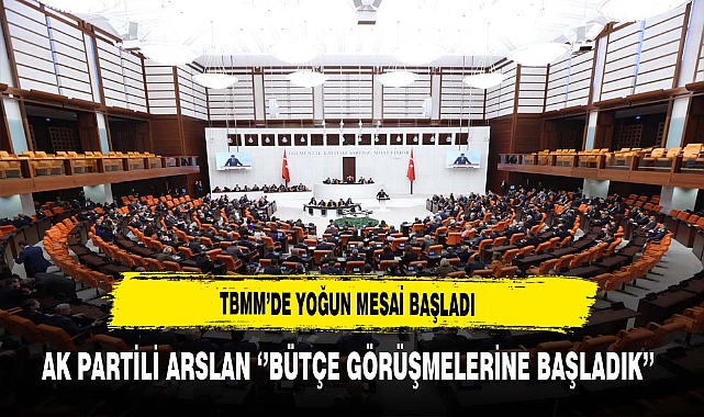 AK Partili Arslan'ın Yoğun Mesaisi TBMM'deki Bütçe Görüşmeleri Başladı