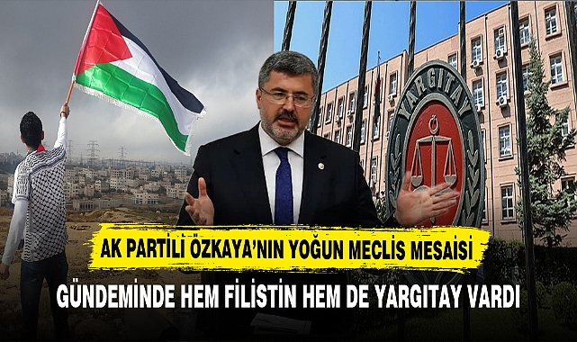 AK Partili Özkaya'nın Yoğun Meclis Mesaisi