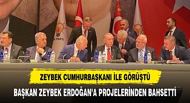 BAŞKAN ZEYBEK ERDOĞAN'A PROJELERİNDEN BAHSETTİ