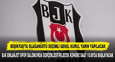 Beşiktaş'ta Olağanüstü Seçimli Genel Kurul Yarın Yapılacak