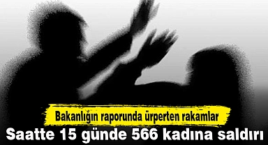 Bir saatte 15 kadın saldırıya maruz bırakılıyor