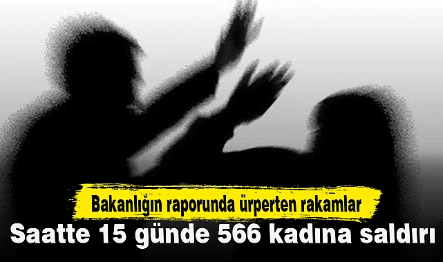 Bir saatte 15 kadın saldırıya maruz bırakılıyor