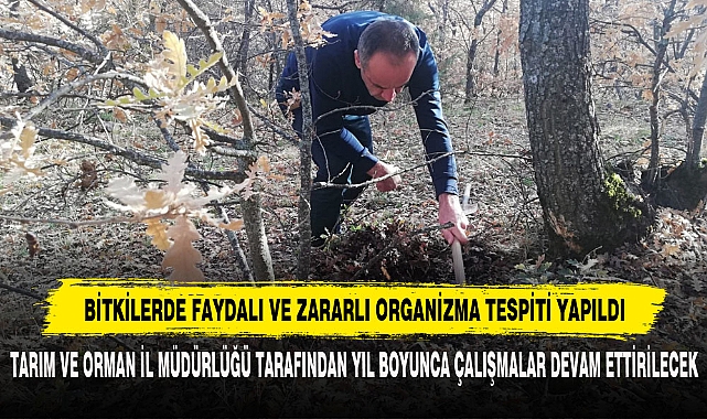 Bitkilerde Faydalı Ve Zararlı Organizma Tespiti Yapıldı