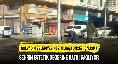 BOLVADİN BELEDİYESİ, ŞEHRİN ESTETİK DEĞERİNE KATKI SAĞLIYOR