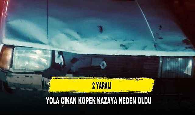 BOLVADİN'DE KÖPEK FACİASI 2 YARALI