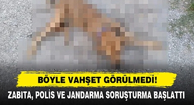 Böyle Vahşet Görülmedi!