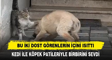 Bu İki Dost Görenlerin İçini Isıttı