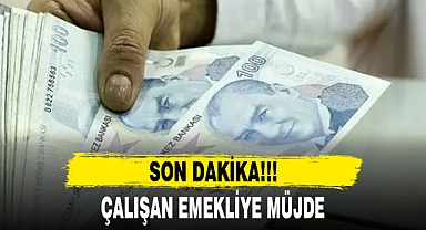 ÇALIŞAN EMEKLİYE MÜJDE