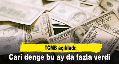 Cari denge bu ay da fazla verdi
