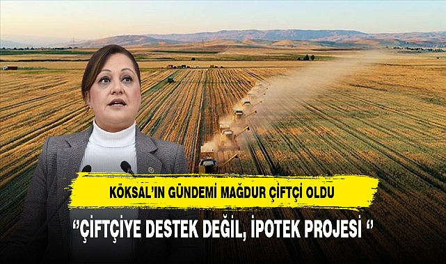 CHP Grup Başkanvekili Köksal: ‘’Çiftçiye destek değil, ipotek projesi ‘’