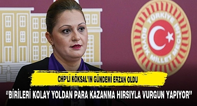 CHP'li Köksal'ın Gündemi Seçil Erzan Oldu