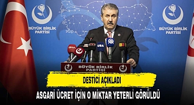Destici, partisinin asgari ücret teklifini açıkladı