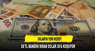 Dolar/TL 29’u görerek yeni bir rekor kırdı