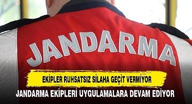 EKİPLER RUHSATSIZ SİLAHA GEÇİT VERMİYOR
