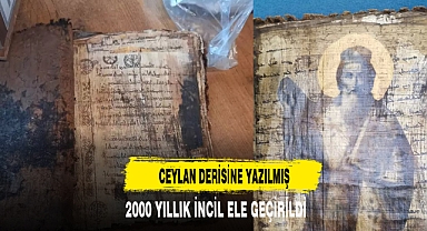 Eksperin 10 milyon dolar değer biçti