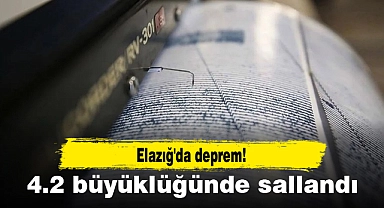 Elazığ'da deprem! 4.2 büyüklüğünde sallandı