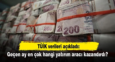 Geçen ay en çok hangi yatırım aracı kazandırdı?