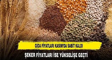 GIDA FİYATLARI KASIM'DA SABİT KALDI