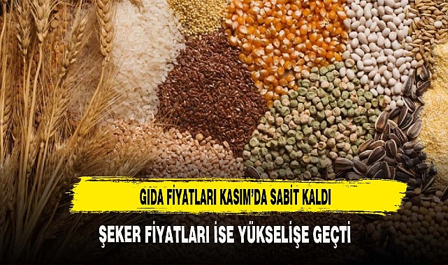 GIDA FİYATLARI KASIM'DA SABİT KALDI