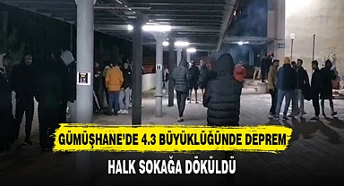 Gümüşhane'de 4,3 büyüklüğünde deprem