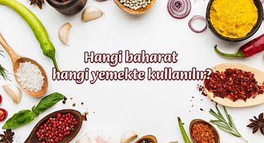 Hangi baharat hangi yemekte kullanılır?