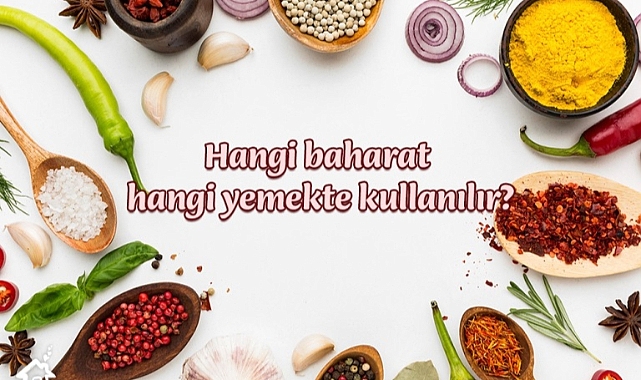 Hangi baharat hangi yemekte kullanılır?