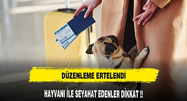 Hayvanı ile seyahat edenler dikkat! Düzenleme ertelendi