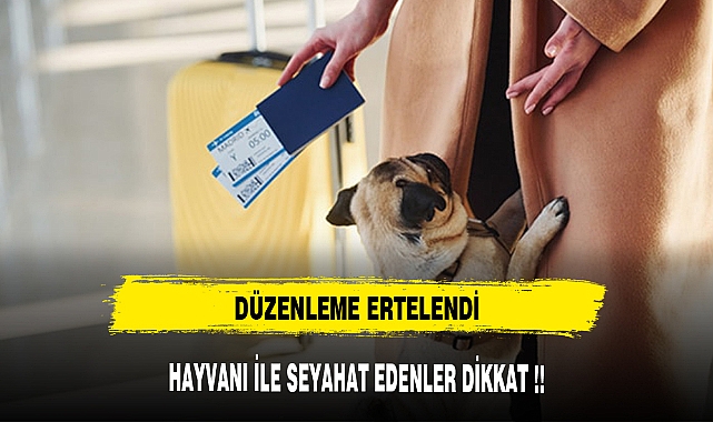 Hayvanı ile seyahat edenler dikkat! Düzenleme ertelendi