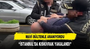 Interpol'ün mavi bültenle aradığı suç örgütü yöneticisi Shamil Amirov, İstanbul'da yakalandı