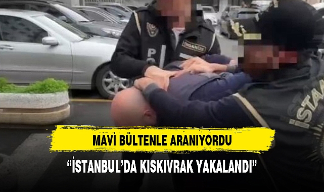 Interpol'ün mavi bültenle aradığı suç örgütü yöneticisi Shamil Amirov, İstanbul'da yakalandı