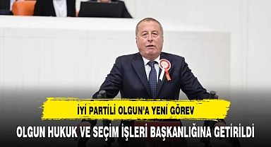İYİ Partili Olgun'a yeni görev