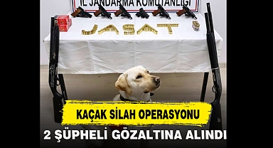 KAÇAK SİLAH OPERASYONU