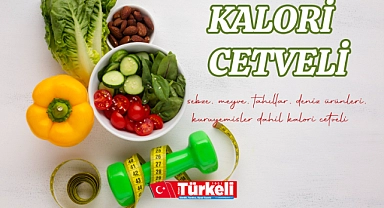 Kalori cetveli