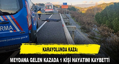 KARAYOLUNDA KAZA: