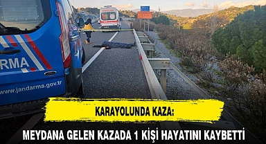 KARAYOLUNDA KAZA: