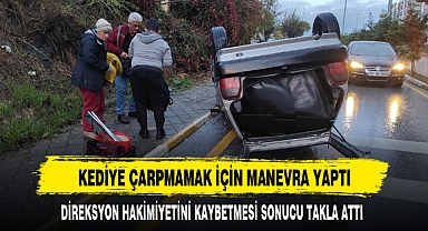 KEDİYE ÇARPMAMAK İÇİN MANEVRA YAPTI