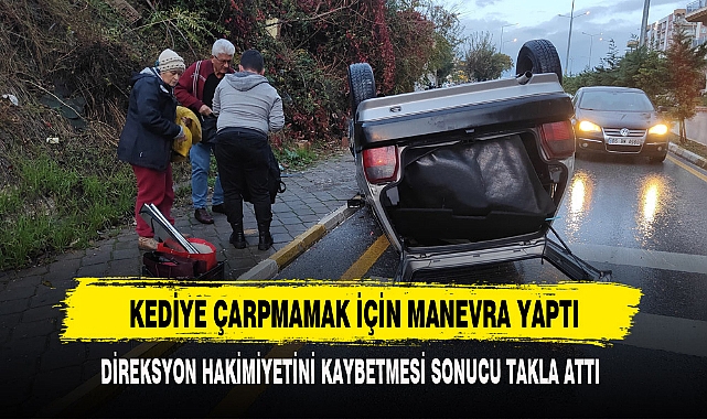 KEDİYE ÇARPMAMAK İÇİN MANEVRA YAPTI