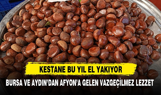 KESTANE BU YIL EL YAKIYOR