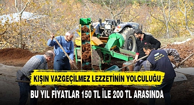 Kışın vazgeçilmez lezzeti'nin sofralara yolculuğu başladı